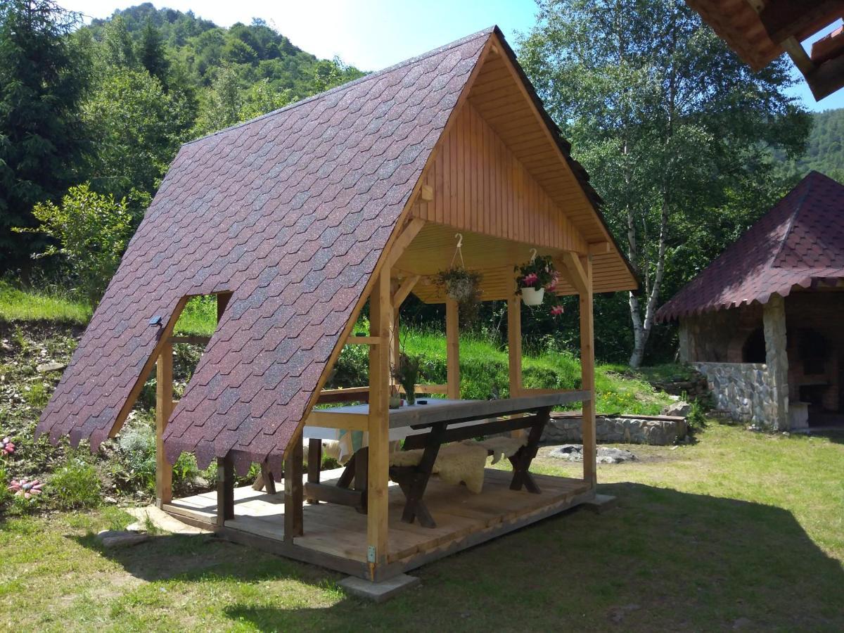 Cabana Soarelui Retezat Nucsoara  Exterior foto