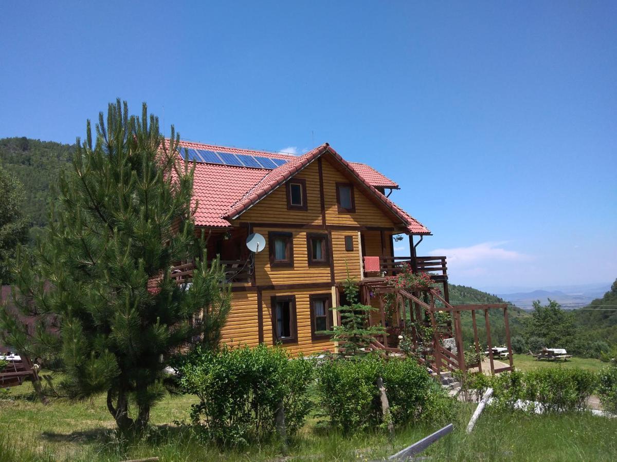 Cabana Soarelui Retezat Nucsoara  Exterior foto