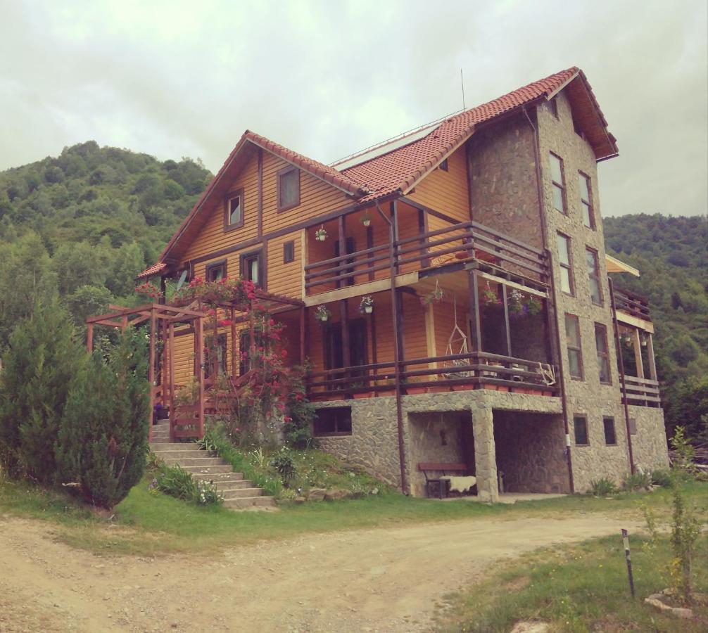 Cabana Soarelui Retezat Nucsoara  Exterior foto