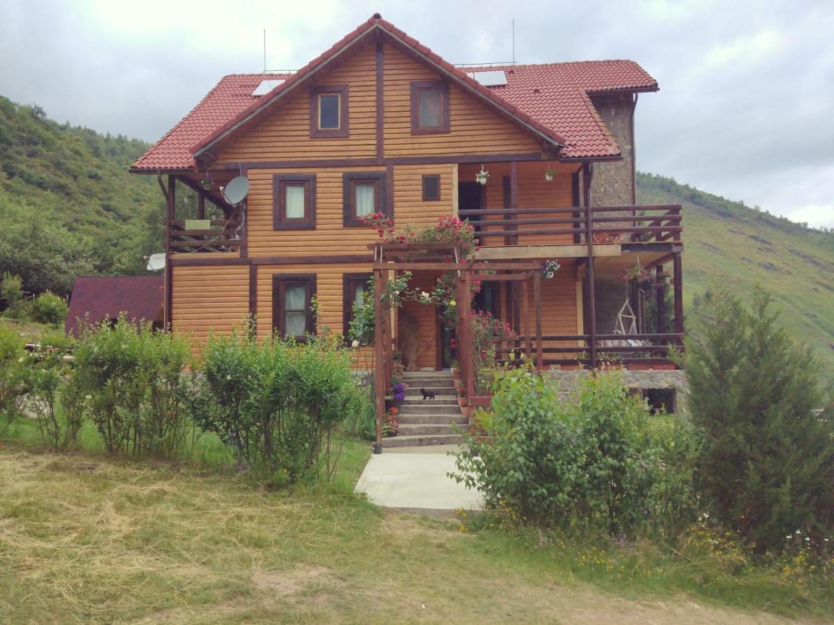 Cabana Soarelui Retezat Nucsoara  Exterior foto